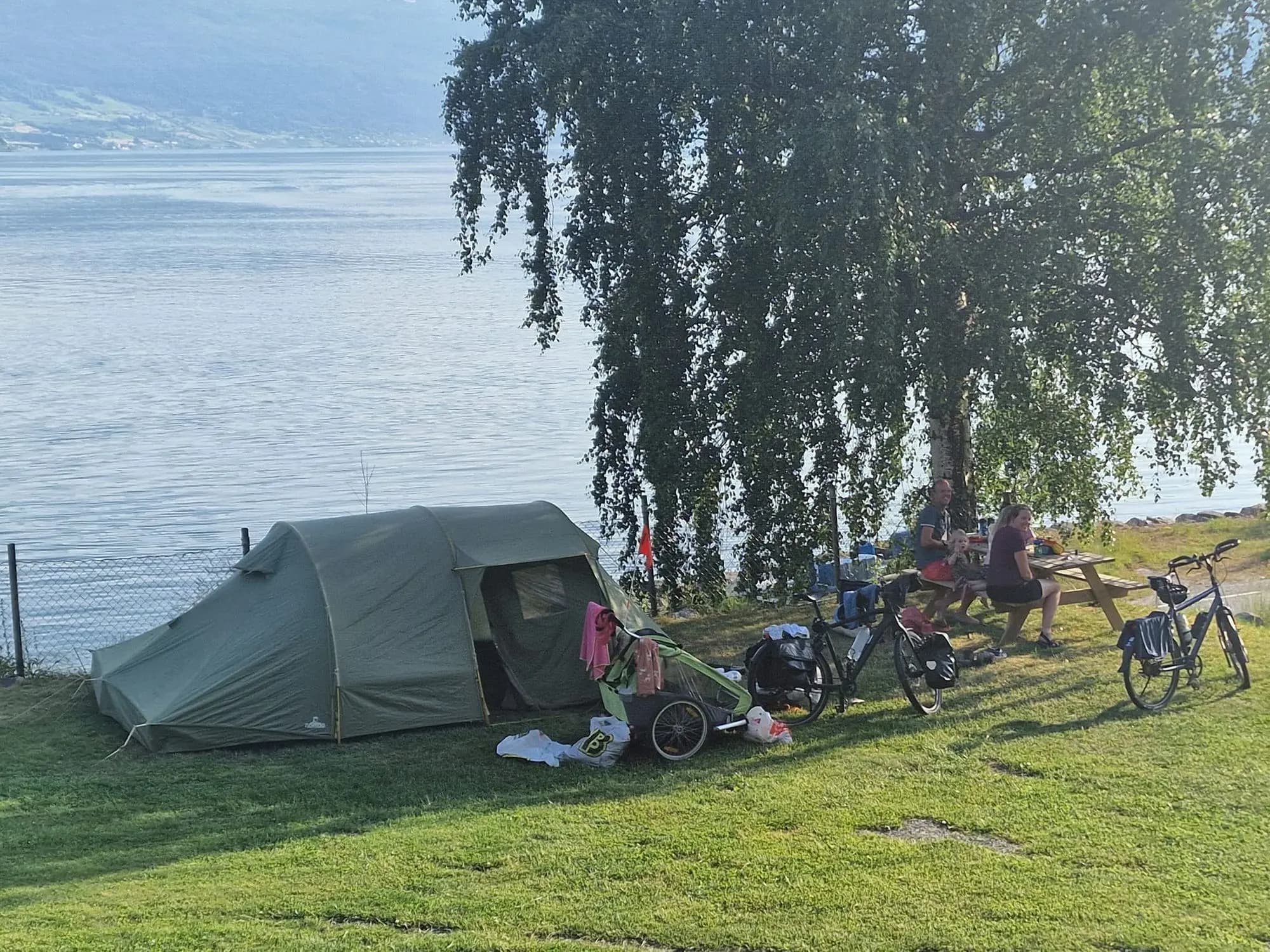 Tent camping under birch trees by the fjord shore